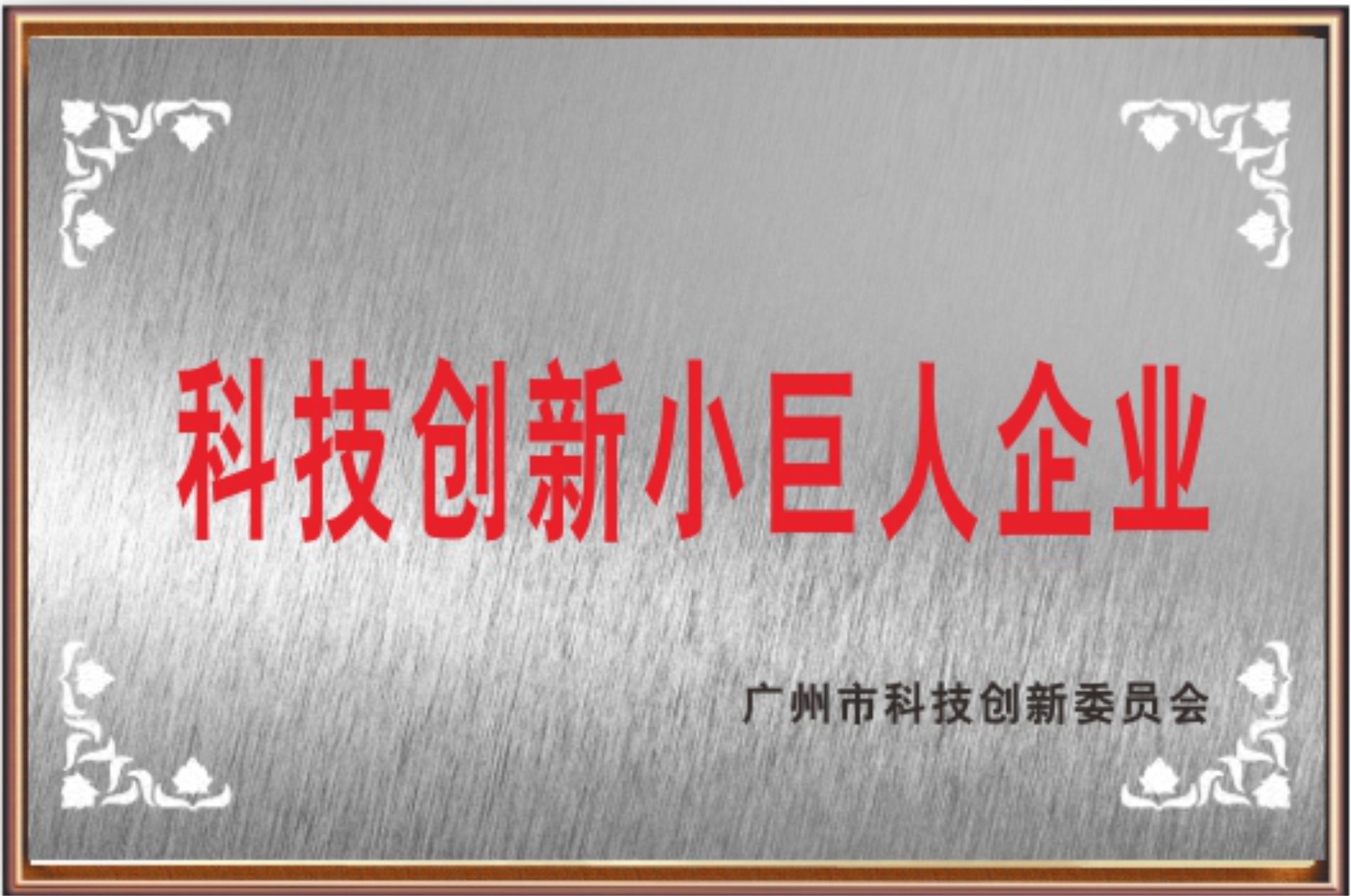 Technology Innovation Little Giant Enterprise